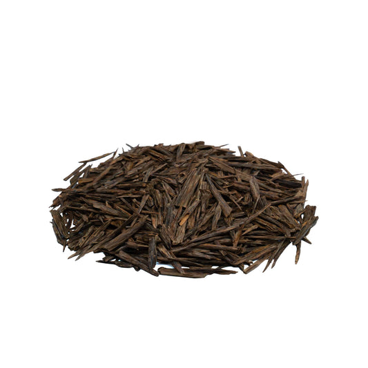 الطفلة سالا