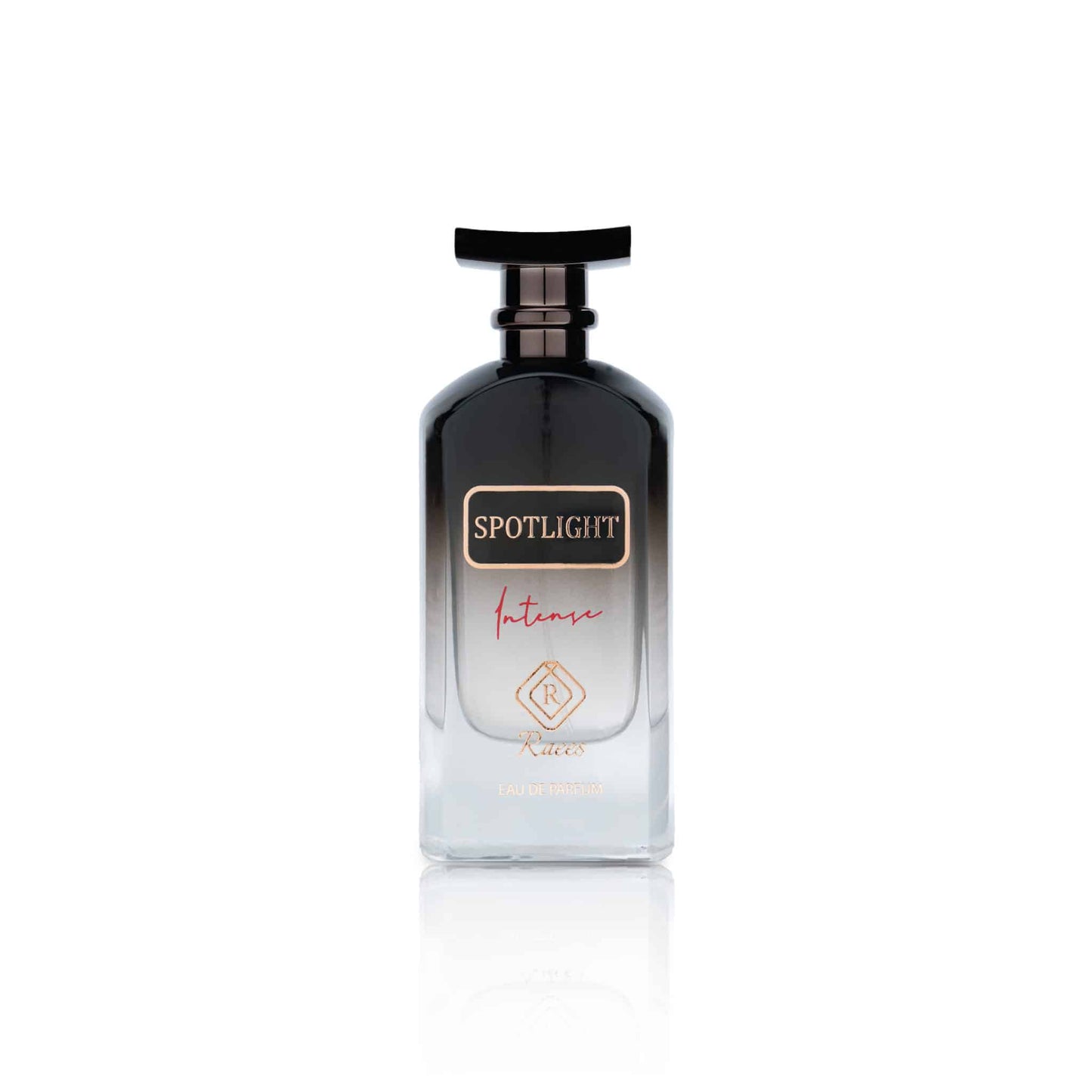 تسليط الضوء